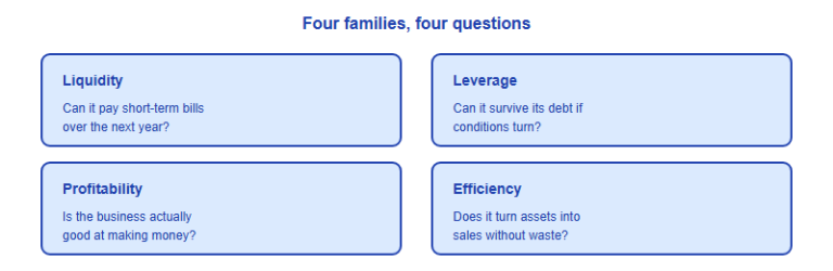The Financial Ratios Every SIC Analyst Should Actually Know
